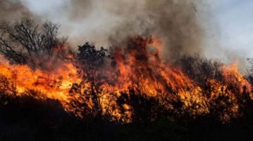 “10 veces el tamaño de la ciudad de Buenos Aires”: los masivos incendios en la provincia de Córdoba que han causado un “ecocidio” en Argentina