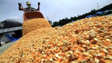 El campo realizará un paro de tres días en reclamo al cierre de las exportaciones de maíz