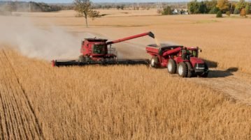 Según un estudio, el Estado se lleva más de la mitad de la renta agrícola