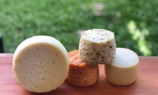 Los Aurelios, una empresa familiar dedicada a la producción de quesos de cabra
