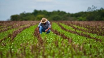 Con una línea de créditos asistirán a agricultores familiares de Salta para fortalecer las economías regionales