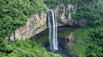 Medio ambiente: América Latina lanza un plan para restaurar los ecosistemas dañados Negocios en Salta