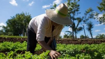 Salta busca potenciar y expandir sus producciones orgánicas para entrar en el mercado de exportación
