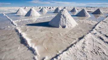 Mientras la provincia impulsa su profesionalización, el precio del litio alcanzó su nivel más alto en tres años