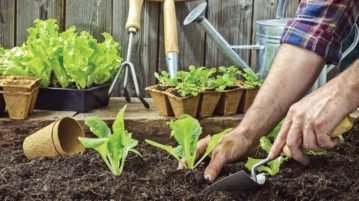 Alimentación saludable con los sabores de Salta: una jornada para el bienestar en la ciudad termal